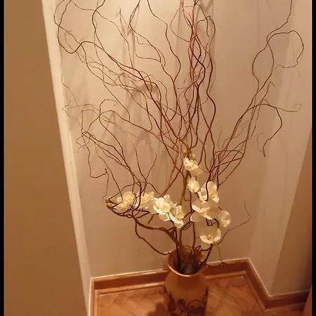 Mokotowska Charming Apartment